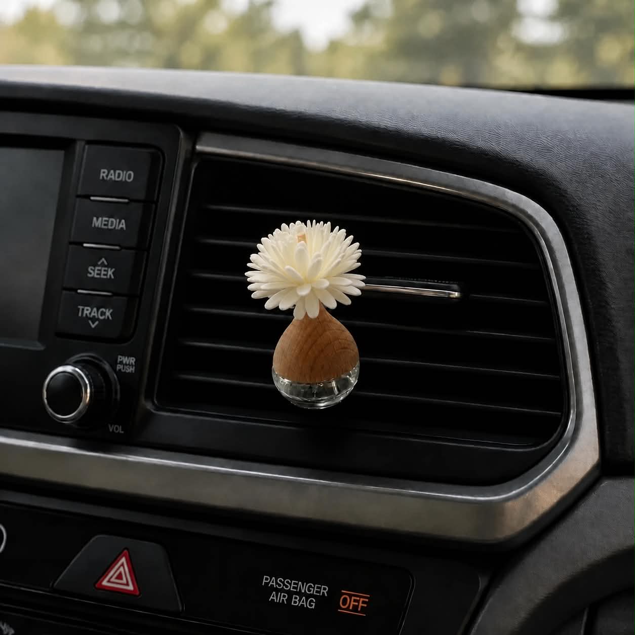 Car Diffuser