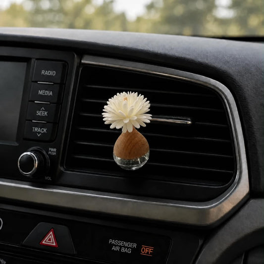 Car Diffuser